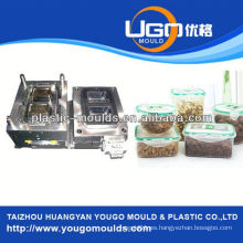 Zhejiang taizhou huangyan moldes de envases de alimentos y 2013 Nuevo hogar de inyección de plástico caja de herramientas molde mouldyougo